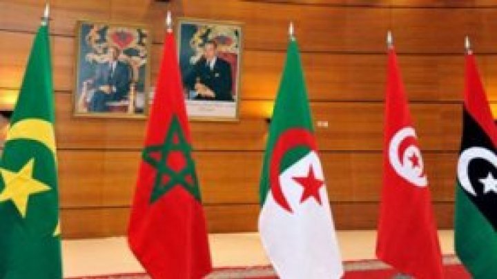 الدول المغاربية تدعو أطراف النزاع الليبي لتشكيل حكومة وحدة وطنية