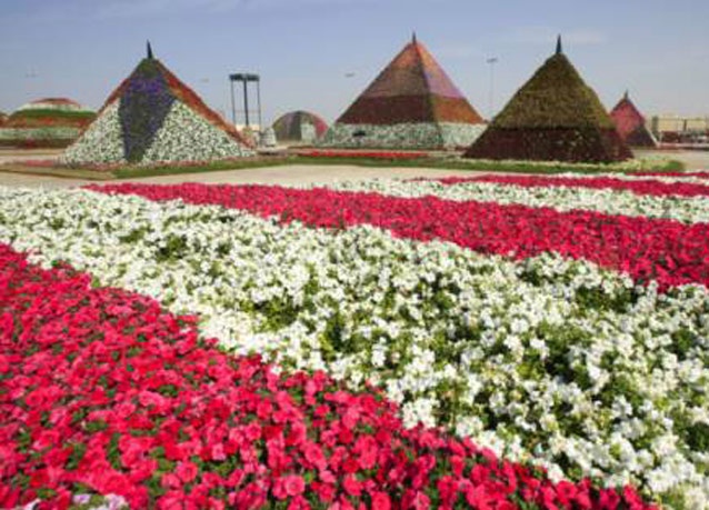 دبي تغطي الصحراء بنهر وقوارب وأهرامات من الورود