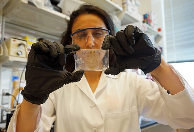 تشخيص سرطان الجلد