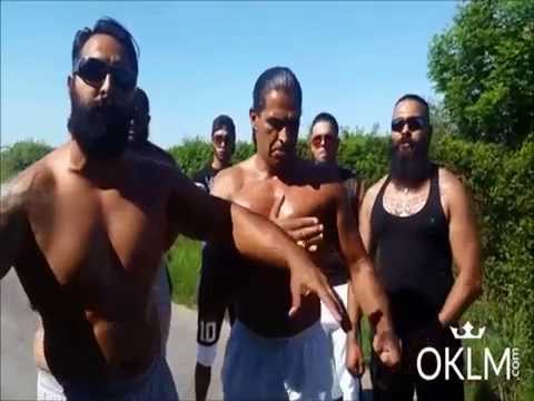 فيديو لأفراد عائلة غجرية يتبادلون السب يثير ضجة على الشبكة