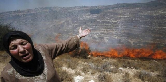 مستوطنون يضرمون النار في خيمة تابعة للبدو