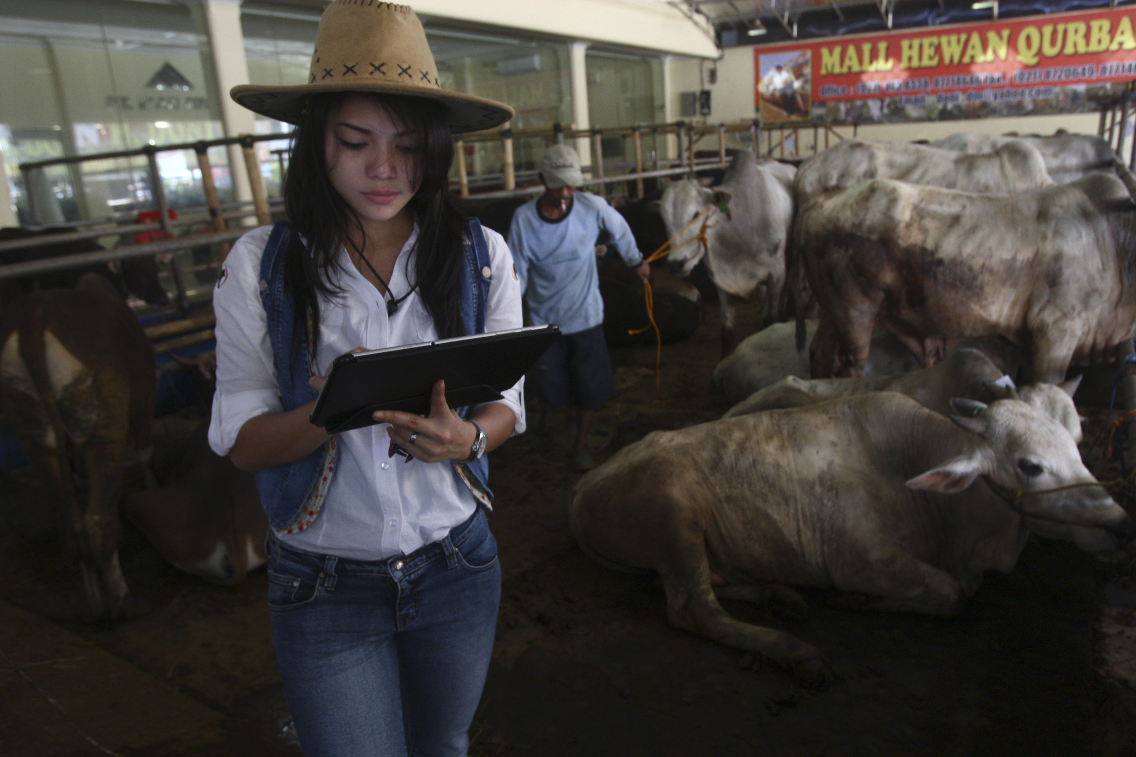 عاصفة من الجدل بشأن الأضاحي تجتاح بلجيكا قبيل عيد الأضحى