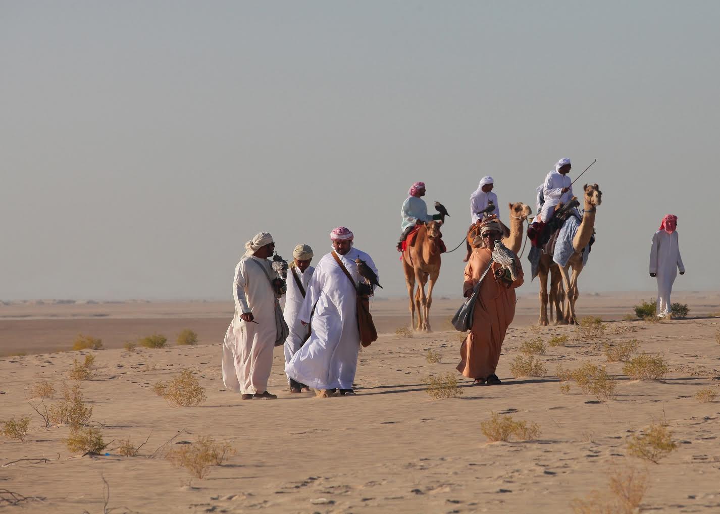 تخصيص محمية المرزوم في المنطقة الغربية بابو ظبي لهواة الصيد التقليدي