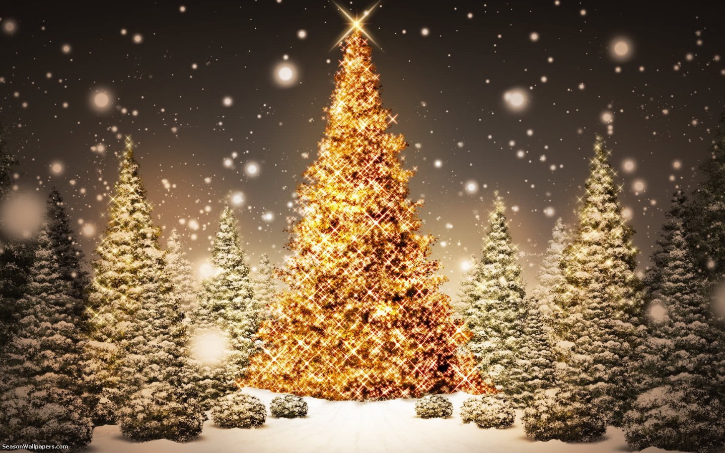 أسترالي يحطم الرقم القياسي لأضواء شجرة عيد الميلاد