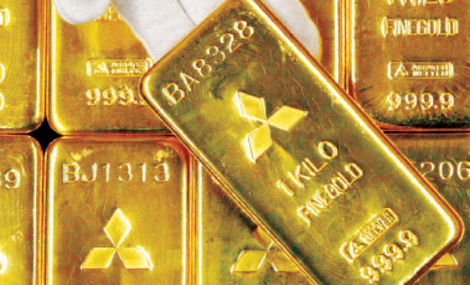 ثروة بالملايين بحديقة متوفى بألمانيا تثير نزاعا بين صديقه وورثته