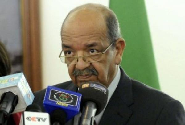 تدفق مكثف و"غيرعادي" لرعايا مغاربة نحو ليبيا عبر الجزائر