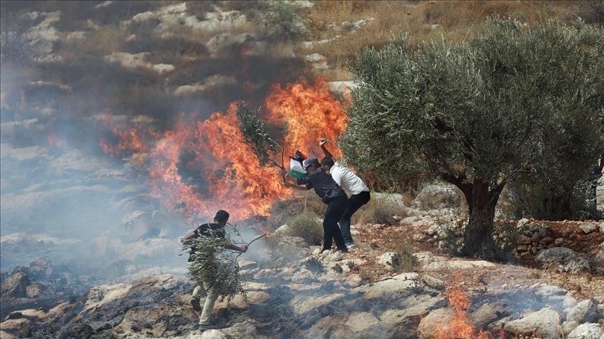 ويقيمون خيمة استيطانية شرقها، حسب وكالة الأنباء الفلسطينية "وفا"