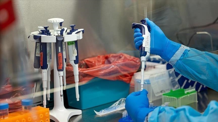 انخفض عدد الإصابات والوفيات بالولاية "نتيجة لزيادة عدد العيادات الميدانية وفرق التعقيم وتعزيز التدخلات الصحية وسط المخالطين"، وفق وزارة الصحة..