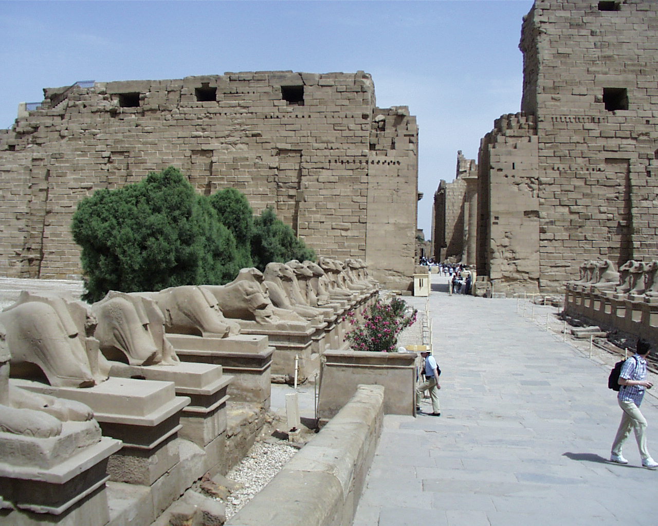 مسؤولون أمريكيون يدعون من الأقصر سياح العالم لزيارة مصر