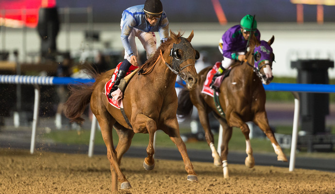 كأس دبي : "كاليفورنيا كروم" يعيد الخيول الاميركية لمنصة التتويج