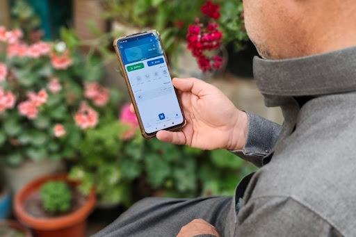 شام كاش توضح سبب الخلل الأخير وتؤكد سلامة حسابات المستخدمين