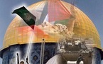 بلجيكية تعمل على ايجاد علاقة إنسانية بين مجتمعها والفلسطينيين بالصور