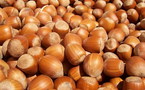 البندق على مائدة الطعام حماية للسيدات من سرطان الثدي