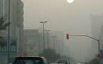 الغبار لة إجابياته في تقوية جهاز المناعة بحسب دراسة المانية