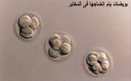 اطباء اسرائيلون يهربون  البويضات الرومانية لعمليات التلقيح بالانابيب 