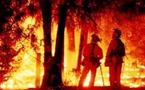إدانة شخصين بإضرام حرائق في جزيرة كورسيكا الفرنسية