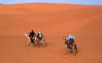 دراسة تؤكد أن الإنسان عندما يتيه ولا يستطيع تحديد مكانه فإنه يسير في دوائر ويعود لنقطة البداية