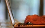 خمسون مليون اصابة كومبيوترية بفيروس كلمة "أحبك " و الأخطر منها برنامج الراقصة ميليسا 