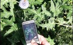 برنامج خاص بالهاتف المحمول يجمع ويحلل البيانات ويساهم في نشر العلوم