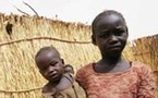 الفاو : محاربة المجاعة في افريقيا تحتاج الى تعبئة سياسية للمستويات العليا