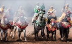 خيول المغرب تتنافس على جائزة الملك في "احتفالات النصر" 