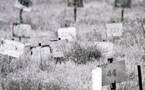 النمسا توافق على تمويل عمليات ترميم مقابر يهودية