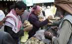 فارق الثروة المرعب بين الأغنياء والفقراء في الشرق الأوسط يخلق أجيالا من المتطرفين