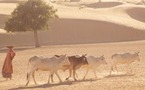 الفاو: الجائعون في العالم تجاوزوا المليار ولابد من مضاعفة انتاج اللحوم لمكافحة الجوع والفقر