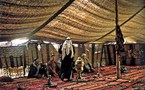 أعراب في البرلمانات ... البداوة العربية تقاوم التحديث و التغيير لا يلامس غير قشورها    