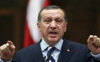 اردوغان : الإدانة غير كافية فقد سئمنا أكاذيب اسرائيل ويجب أن ’تعاقب بسبب مجزرتها  الدموية