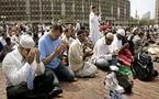 ضرب مصلين وحرق قرآن...المسلمون الأمريكيون يشتكون من تزايد موجات الكراهية ضدهم