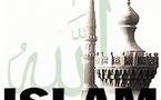 تمذهب وازدواجية ودعاة نجومية .... مخاطر التوظيف السياسي للدين في الفضائيات العربية