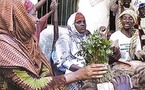 عدوى إدمان القات تصيب الصوماليات المهاجرات الهاربات من جحيم الحروب