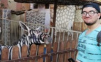 حقيقة "الحمار الوحشي الزائف" في حديقة حيوانات بمصر
