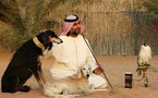تفنّن لإحياء التراث بأبوظبي....جوائز بالملايين لمسابقات جمال الكلاب وصيد اللؤلؤ وتربية الصقور 