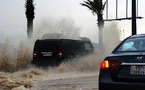 عاصفة جوية تضرب لبنان متسببة باقتلاع أشجار وتدمير طائرات وأضرار مادية جسيمة