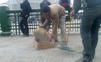 وجه حضاري للمجتمع المصري ....كهول وشباب في حملة شعبية لتنظيف ميدان التحرير