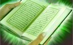 مقتل 8من العاملين بالأمم المتحدة و 5 أفغان في احتجاجات منددة بحرق القرآن   