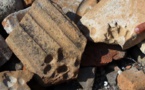 خبراء أتراك يعثرون على آثار حيوانات تعود للقرن الثامن الميلادي
