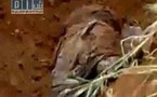 رغم الصور والشهود سوريا تنفي العثور على مقبرة جماعية في درعا