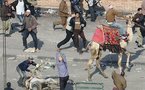 احالة 25 متهما في "موقعة الجمل" الى القضاء