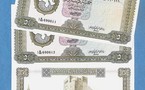الصيارفة يتخلصون من "عملة القذافي"و ينقلون ملايين الدنانير الليبية جوا إلى مصر