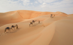 على خطى الرحالة مبارك بن لندن ومرافقيه الاماراتيين  