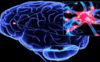  خلايا عصبية مسؤولة عن تخلص المخ من المعلومات غير الضرورية