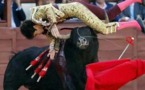 الكوارث الاقتصادية تعمق أزمة " صناعة مصارعة الثيران "  في إسبانيا