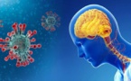 دراسة إيطالية:فيروس كورونا يصيب الرئتين ويؤثر على الدماغ