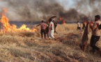حرائق حقول المحاصيل بسورية... اتهامات تطال جميع الأطراف  