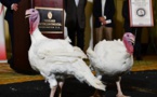   ترامب يعفو عن ديكين ويقرر قضاء عيد الشكر بالبيت الأبيض