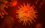 سلالة فيروس كورونا الجديدة : كيف تحدث الطفرات ولماذا؟