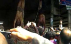 اهالي قرية مصرية يضربون شخصين حتى الموت بعد اتهامها بالسرقة وخطف سيدات